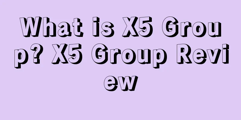 What is X5 Group? X5 Group Review