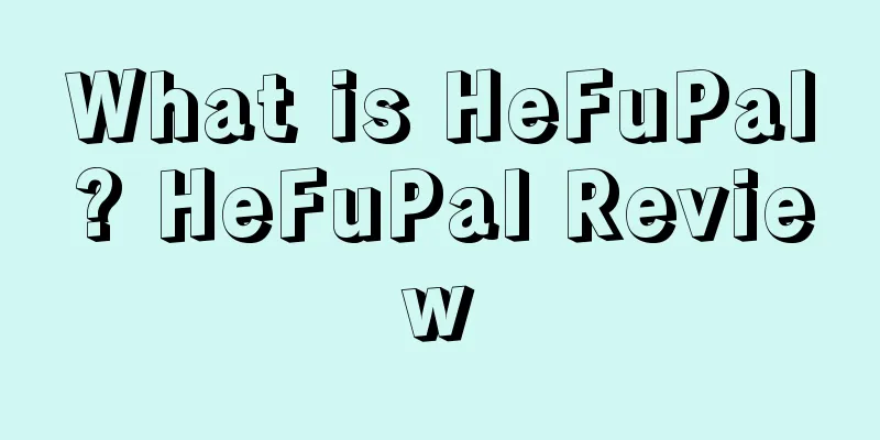 What is HeFuPal? HeFuPal Review