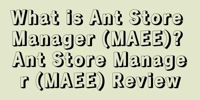What is Ant Store Manager (MAEE)? Ant Store Manager (MAEE) Review