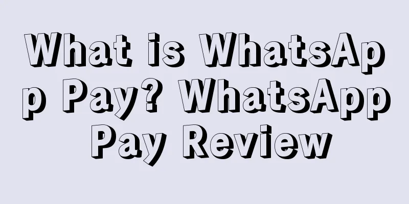 What is WhatsApp Pay? WhatsApp Pay Review