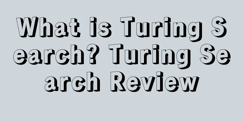 What is Turing Search? Turing Search Review