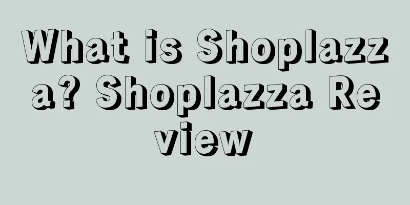 What is Shoplazza? Shoplazza Review