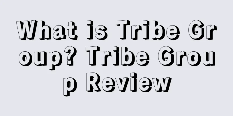 What is Tribe Group? Tribe Group Review