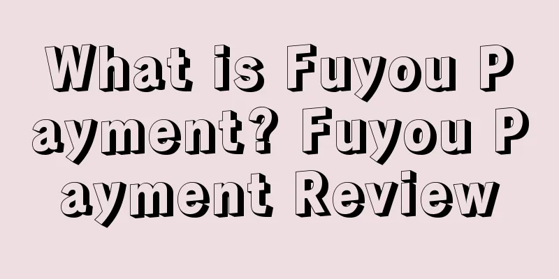 What is Fuyou Payment? Fuyou Payment Review