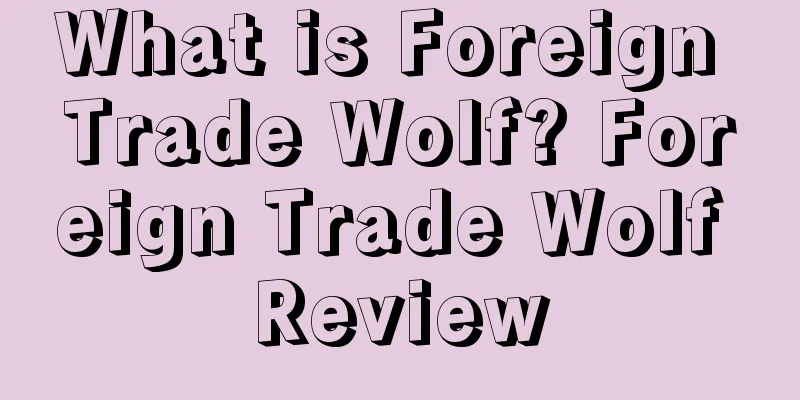 What is Foreign Trade Wolf? Foreign Trade Wolf Review