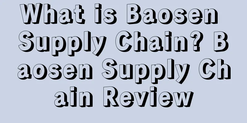 What is Baosen Supply Chain? Baosen Supply Chain Review