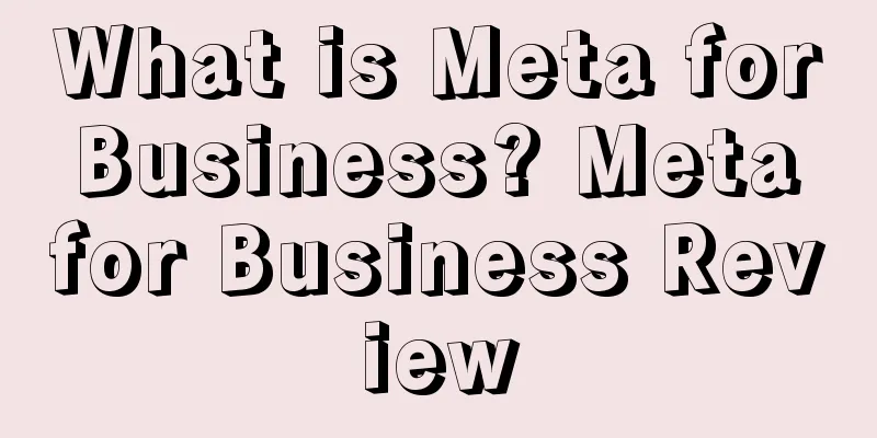 What is Meta for Business? Meta for Business Review