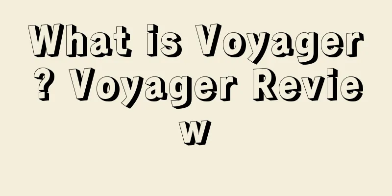 What is Voyager? Voyager Review