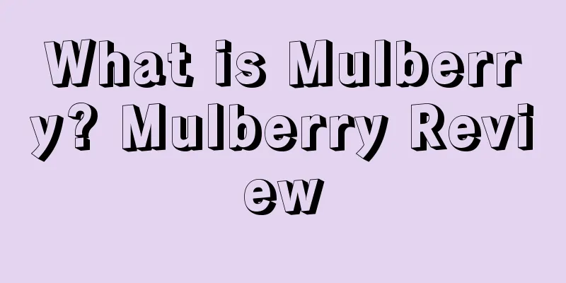 What is Mulberry? Mulberry Review
