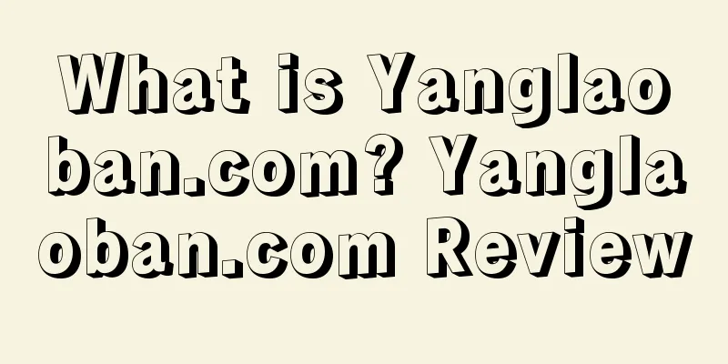 What is Yanglaoban.com? Yanglaoban.com Review