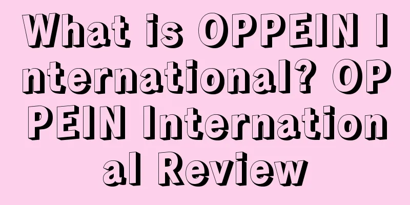 What is OPPEIN International? OPPEIN International Review