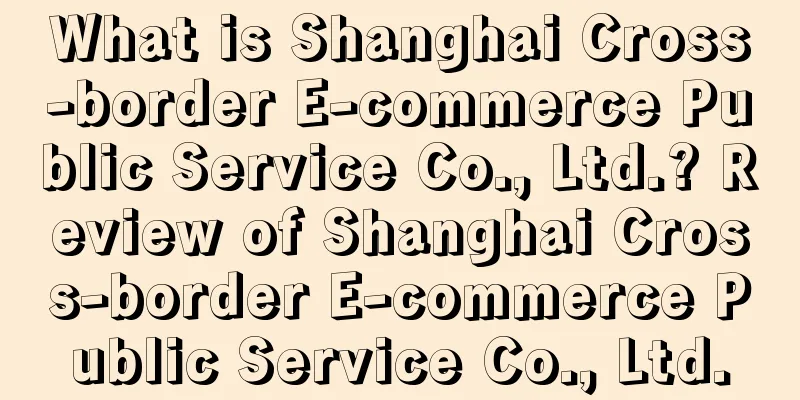What is Shanghai Cross-border E-commerce Public Service Co., Ltd.? Review of Shanghai Cross-border E-commerce Public Service Co., Ltd.