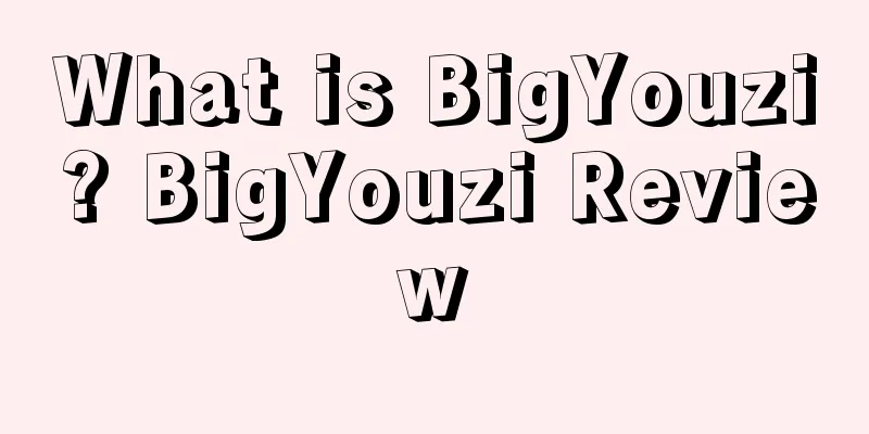 What is BigYouzi? BigYouzi Review
