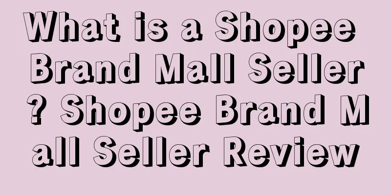 What is a Shopee Brand Mall Seller? Shopee Brand Mall Seller Review