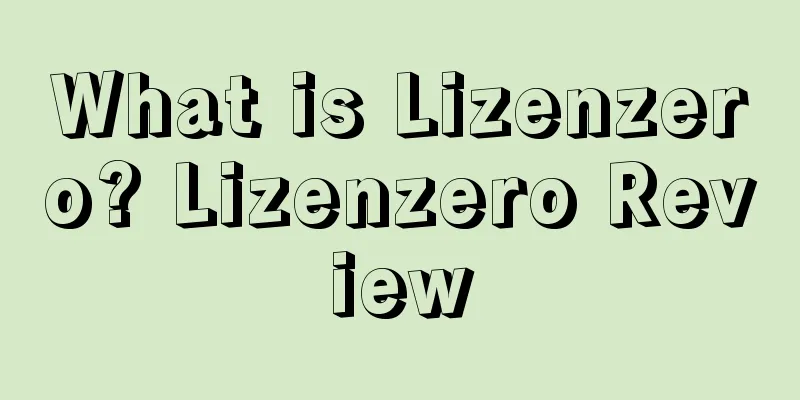 What is Lizenzero? Lizenzero Review