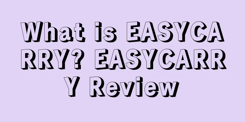 What is EASYCARRY? EASYCARRY Review