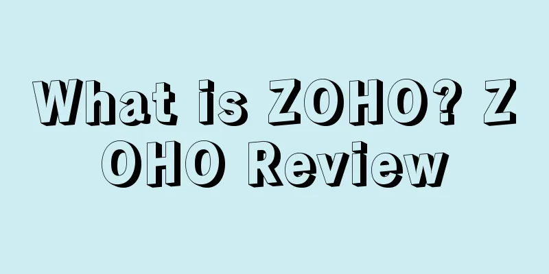 What is ZOHO? ZOHO Review