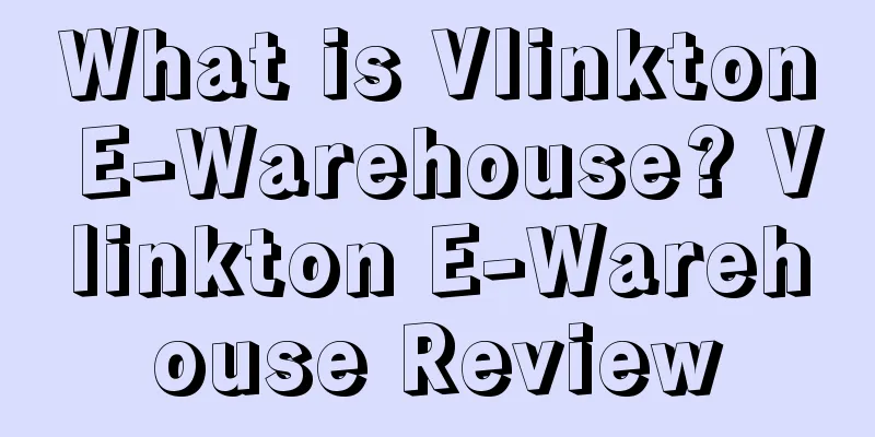What is Vlinkton E-Warehouse? Vlinkton E-Warehouse Review