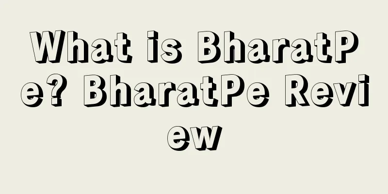 What is BharatPe? BharatPe Review