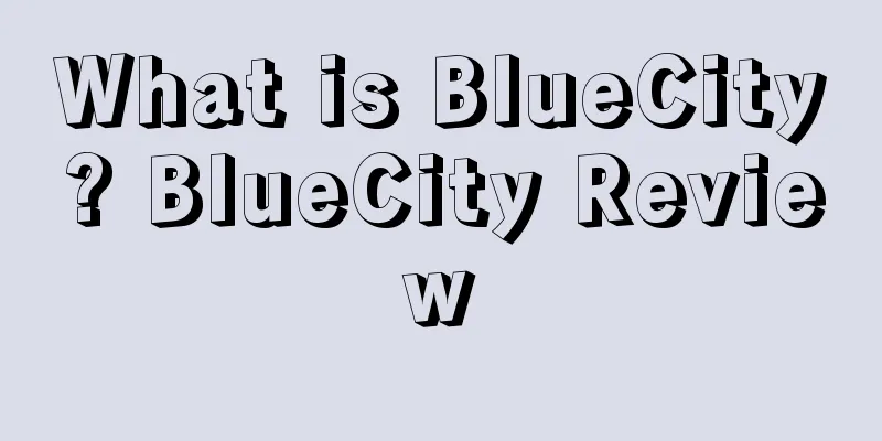 What is BlueCity? BlueCity Review