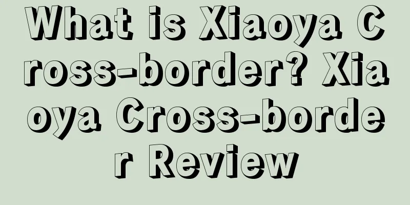 What is Xiaoya Cross-border? Xiaoya Cross-border Review