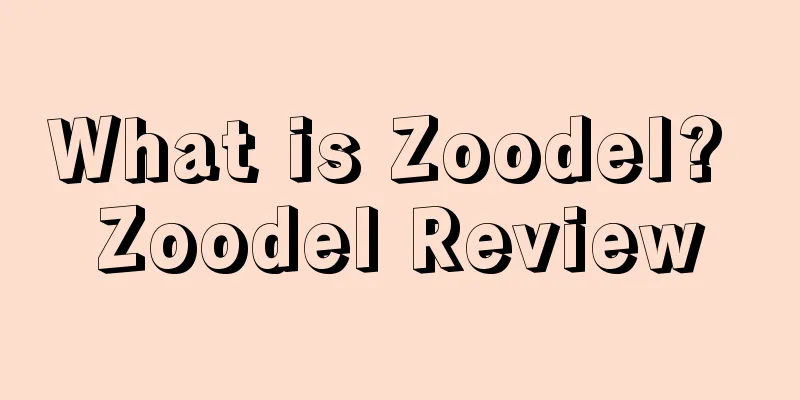 What is Zoodel? Zoodel Review