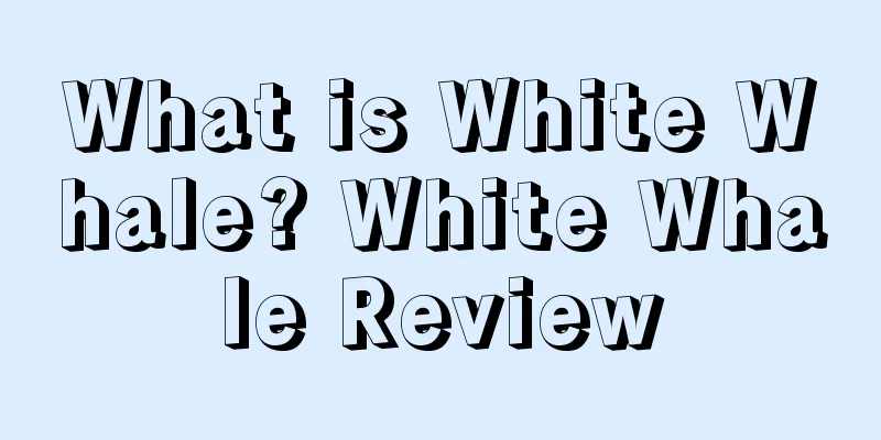 What is White Whale? White Whale Review