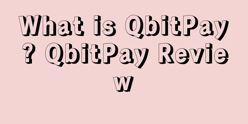 What is QbitPay? QbitPay Review