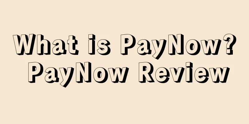 What is PayNow? PayNow Review