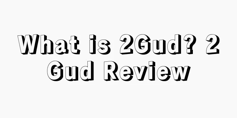 What is 2Gud? 2Gud Review