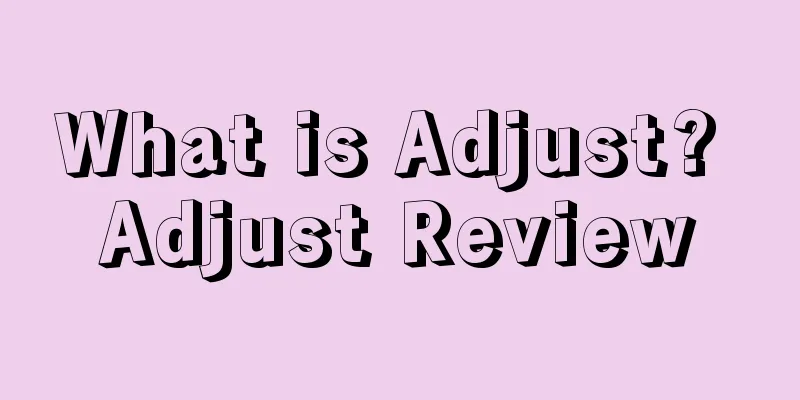 What is Adjust? Adjust Review