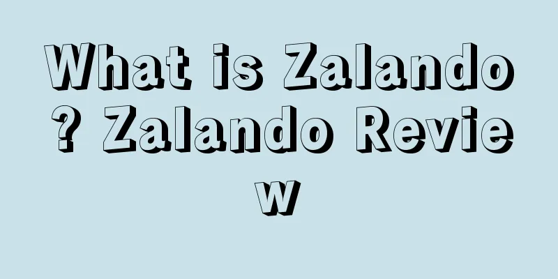 What is Zalando? Zalando Review