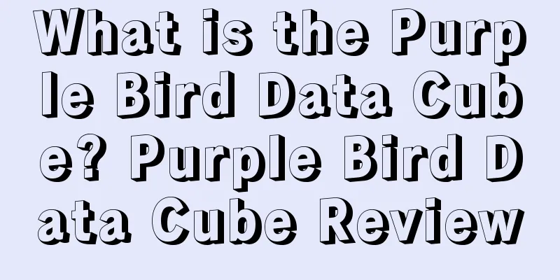 What is the Purple Bird Data Cube? Purple Bird Data Cube Review