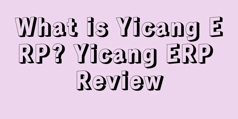 What is Yicang ERP? Yicang ERP Review