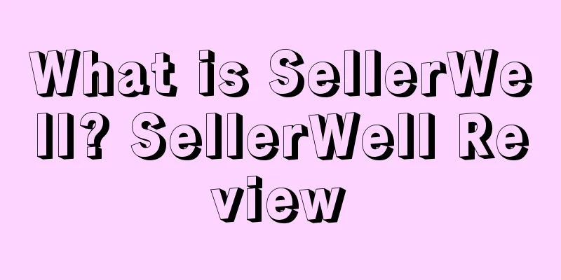 What is SellerWell? SellerWell Review