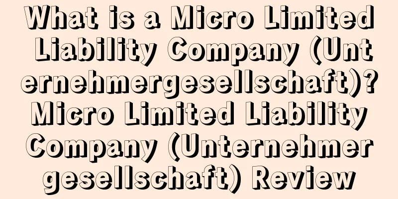 What is a Micro Limited Liability Company (Unternehmergesellschaft)? Micro Limited Liability Company (Unternehmergesellschaft) Review