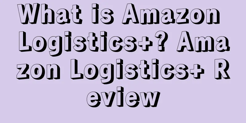 What is Amazon Logistics+? Amazon Logistics+ Review