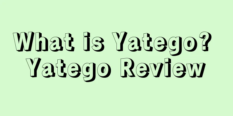 What is Yatego? Yatego Review