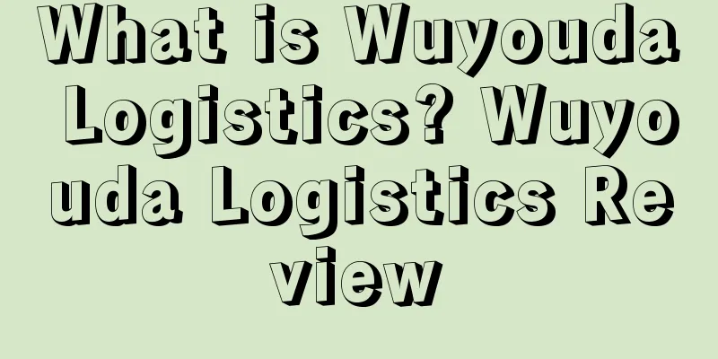 What is Wuyouda Logistics? Wuyouda Logistics Review