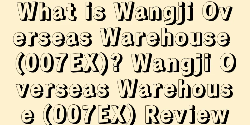What is Wangji Overseas Warehouse (007EX)? Wangji Overseas Warehouse (007EX) Review
