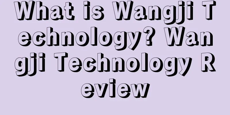What is Wangji Technology? Wangji Technology Review