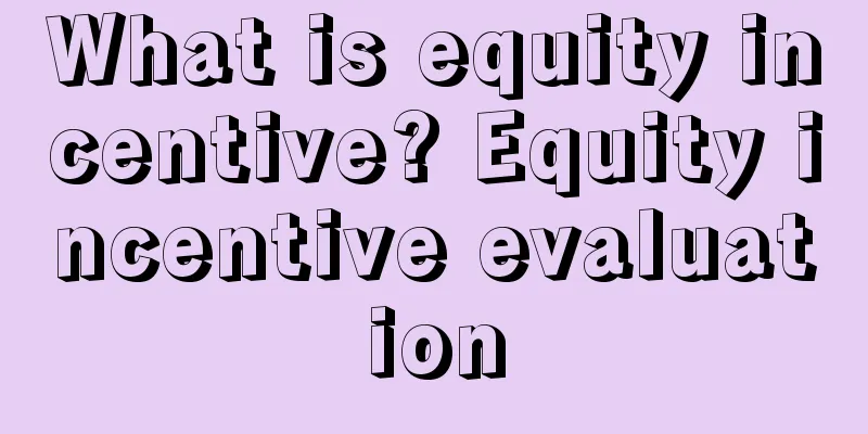 What is equity incentive? Equity incentive evaluation