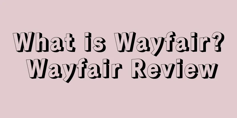 What is Wayfair? Wayfair Review