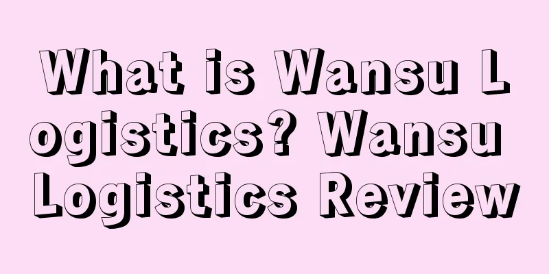 What is Wansu Logistics? Wansu Logistics Review