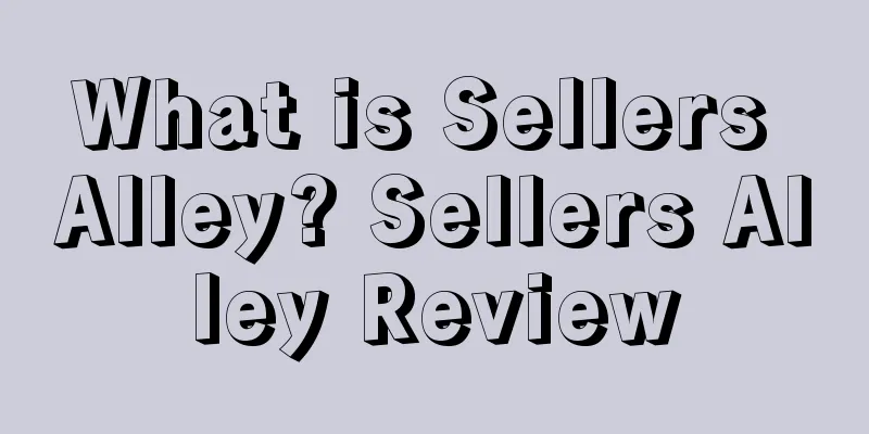 What is Sellers Alley? Sellers Alley Review