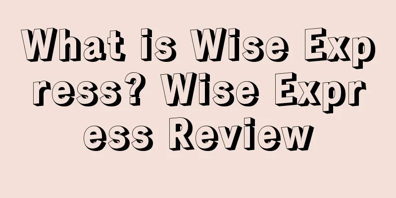 What is Wise Express? Wise Express Review