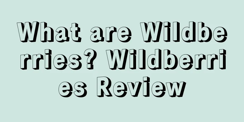 What are Wildberries? Wildberries Review