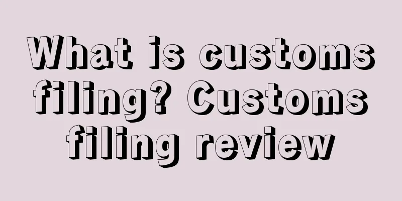 What is customs filing? Customs filing review