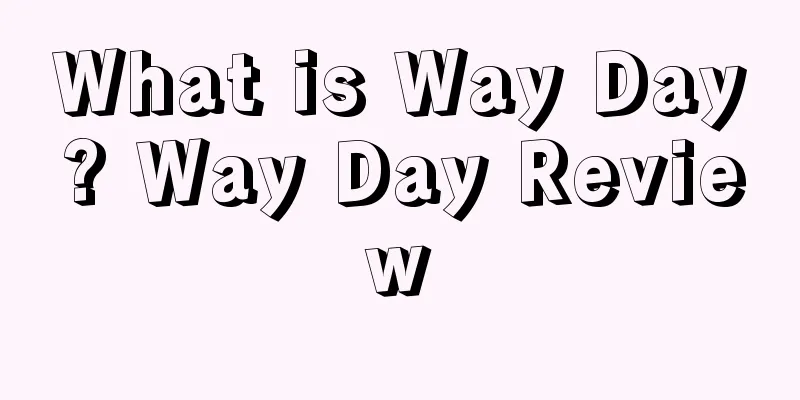 What is Way Day? Way Day Review