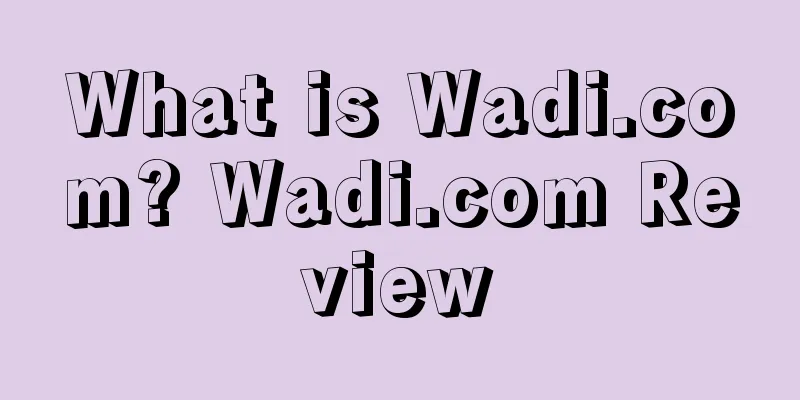 What is Wadi.com? Wadi.com Review